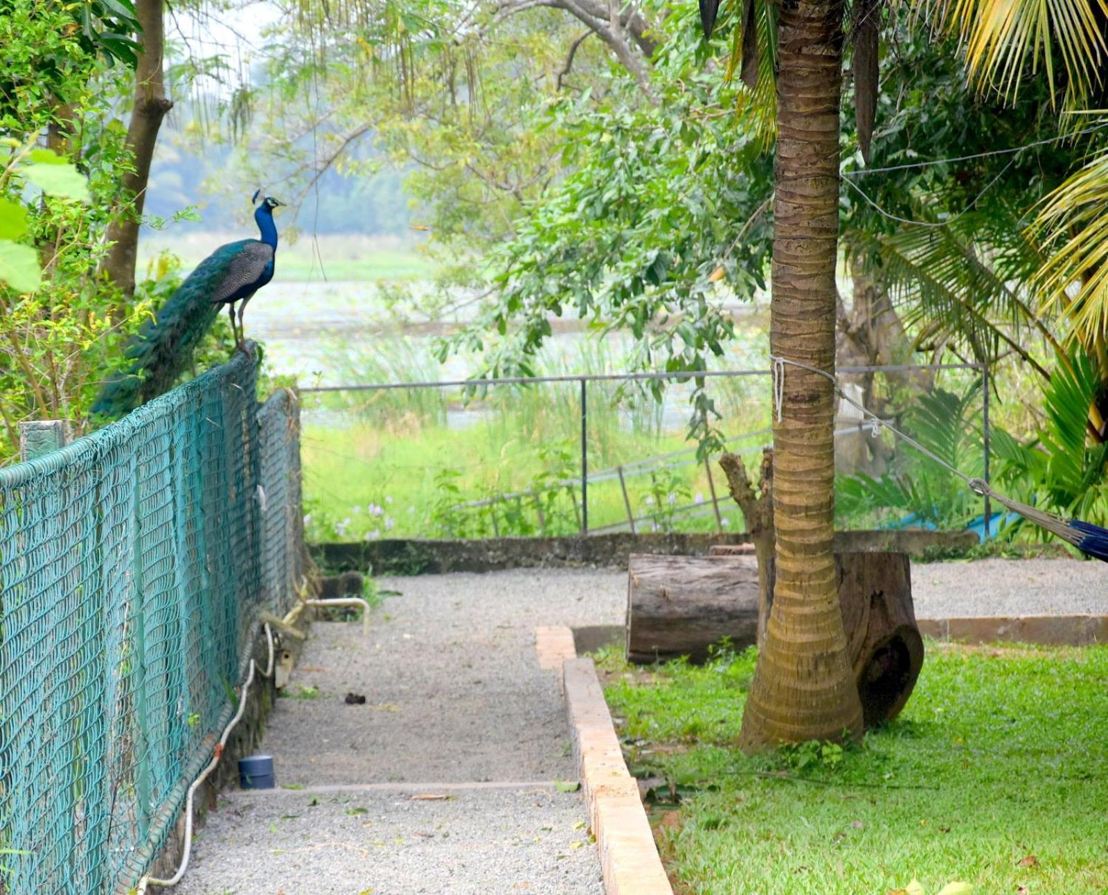 Ciel Star Anuradhapura Hotell Eksteriør bilde